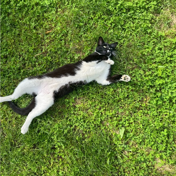 Meet your Posher, Gloria - Picture 2 of 5